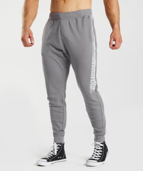 Spodnie Do Biegania Gymshark Bold React Męskie Szare | PL 126PHQ